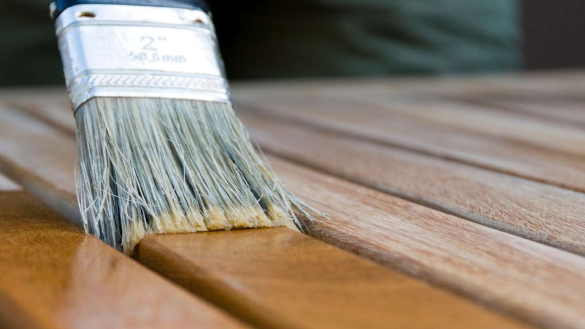 deck staining in backyard Clearwater property