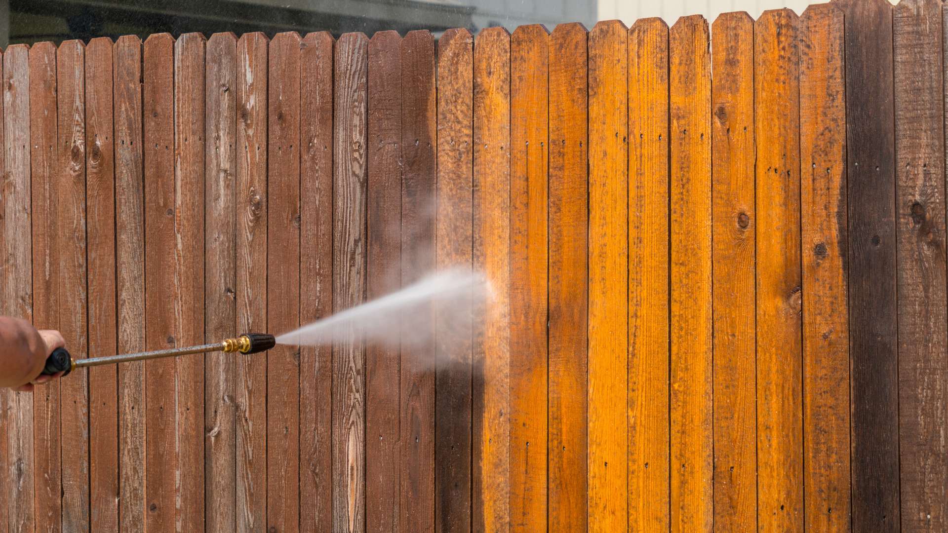 wood fence being pressure washed and painted in Largo backyard