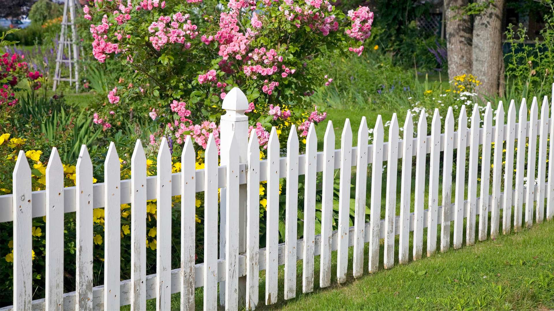 freshly painted vinyl fence in Clearwater neighborhood